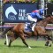 Grateful Neasham announces Zaaki’s retirement