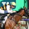 Stayer Mark Twain writes ticket to Melbourne Cup