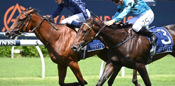 Annabel Neasham filly fresh and ready to Fly
