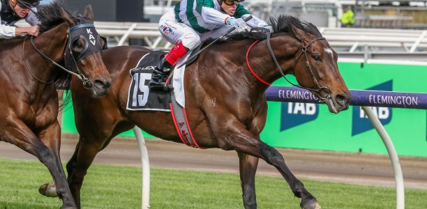 Easter Cup tilt for Ciaron Maher pair