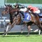Private Eye beats Imperatriz in World’s Best Sprinter rankings
