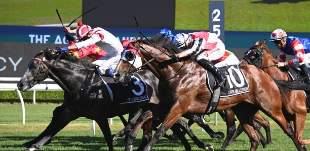 “I didn’t know much of Les until I moved to Sydney”: Schiller