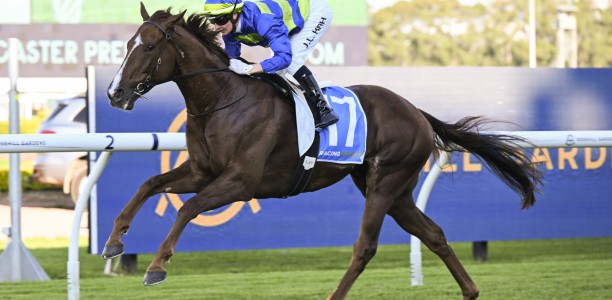 Doncaster Mile 2024 – Field Preview, Odds, Horses, Speed Map and Betting Tips