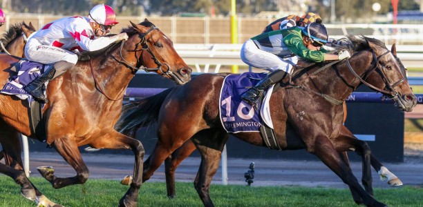 D-day for Carini in the Easter Cup