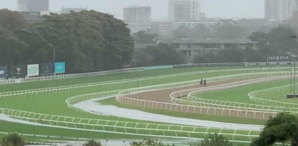 Randwick races to proceed despite heavy rain