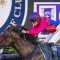 Queensland apprentice suspended following physical altercation