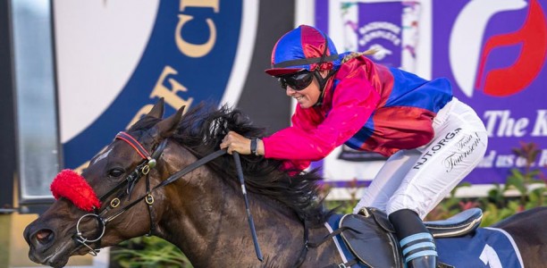 Queensland apprentice suspended following physical altercation