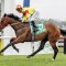 Zouatica passes The Big Dance distance test