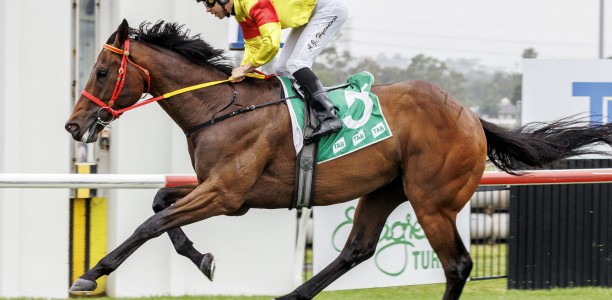 Zouatica passes The Big Dance distance test