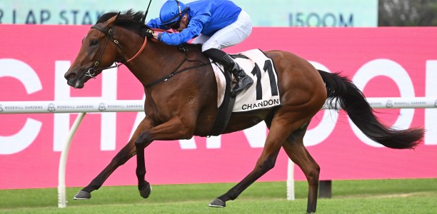 Godolphin keeping faith in Zardozi
