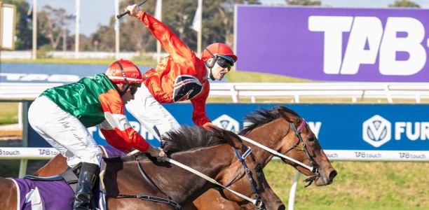 Odds suggest a wide open The Joey field at Ascot