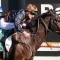 Benedetta puts rivals on notice ahead of Robert Sangster Stakes