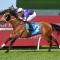Star mare Espiona heads odds in the All Aged Stakes