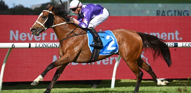 Star mare Espiona heads odds in the All Aged Stakes