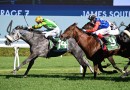 Will Lightning get chance to strike in All Aged Stakes?