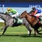 Will Lightning get chance to strike in All Aged Stakes?