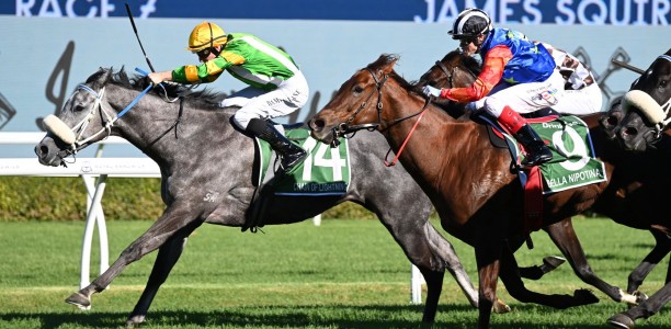 Will Lightning get chance to strike in All Aged Stakes?