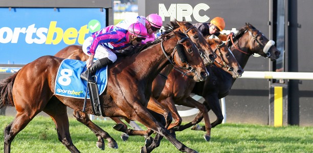 Maharba too good in the Hareeba Stakes