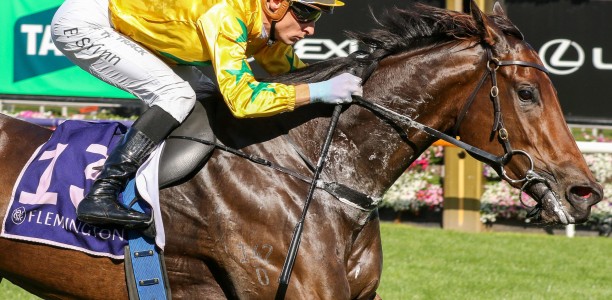 Robert Sangster Stakes Likely Field – 2024