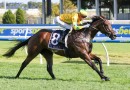 Exciting filly heads early odds in Robert Sangster Stakes