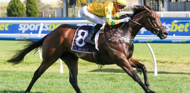 Exciting filly heads early odds in Robert Sangster Stakes