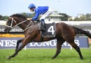Legendary story of Winx set to hit the big screen