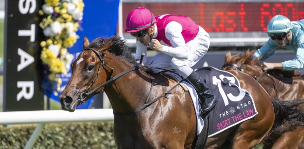 Skirt The Law back in action at Eagle Farm