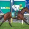 Connections in two-minds with Cup favourite