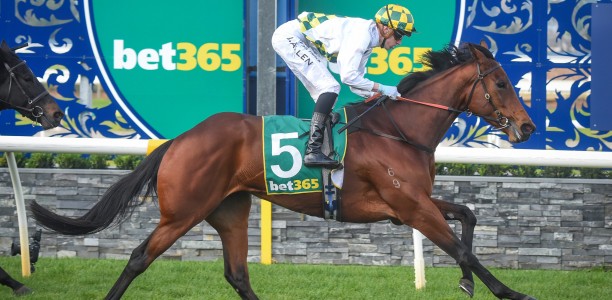 Connections in two-minds with Cup favourite