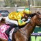 Robert Sangster Stakes 2024 – Field Preview, Odds, Horses, Speed Map and Betting Tips