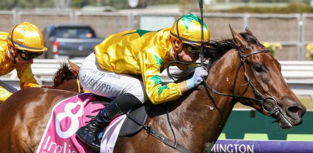 Robert Sangster Stakes 2024 – Field Preview, Odds, Horses, Speed Map and Betting Tips