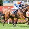 Sun set to shine in Australasian Oaks