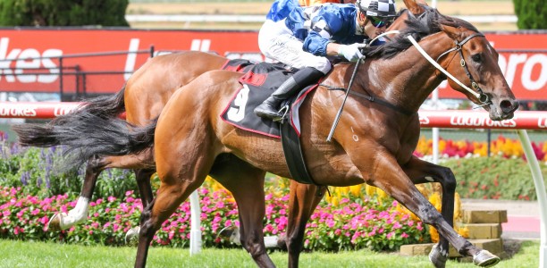 Sun set to shine in Australasian Oaks