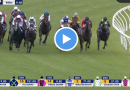 John Hawkes Stakes results and replay – 2024