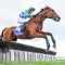 Stern Idol’s shot at Brierly Steeplechase history
