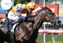 Imperatriz to be sold at Magic Millions