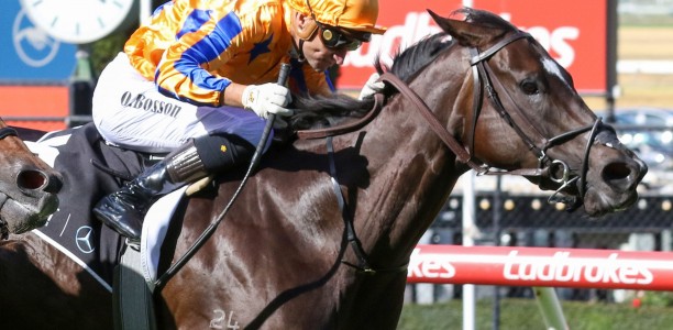 Imperatriz to be sold at Magic Millions