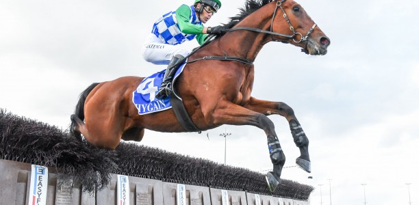 Stern Idol short odds in the Brierly Steeplechase