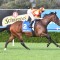Exciting staying fillies odds crunched in the SA Derby