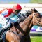 Radford hopes long drought over for Comfort Me in Northam Stakes