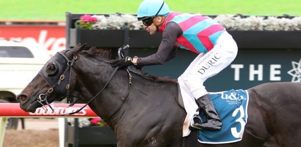 Antino races into Stradbroke Handicap favouritism
