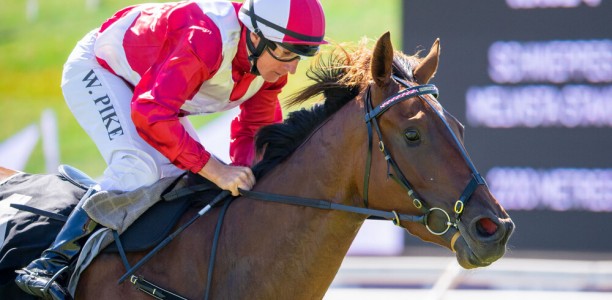 Cox Plate on the radar for Western Empire