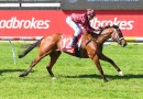 Stokes pair thriving ahead of Goodwood