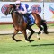 Gibbons has Time pencilled in for wet track victory