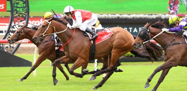 Wapiti set for fourth start in four weeks in Hollindale Stakes