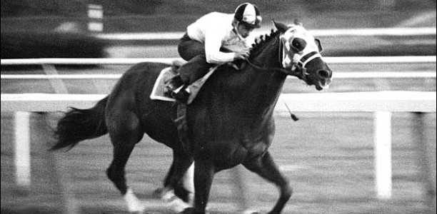 NFL star apologises for saying Secretariat was on steroids