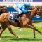 Body blow for top WA mare