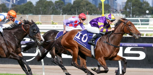 Lindsay Park pair target Doomben contests