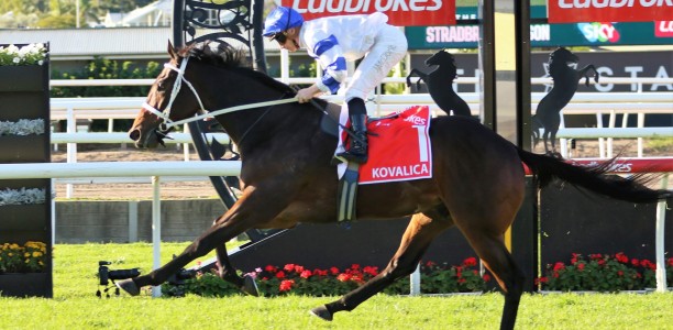 Online bookmaker offering $10 Odds for Doomben Cup favourite Kovalica
