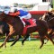 Tatts Tiara 2024 – Field Preview, Odds, Horses, Speed Map and Betting Tips